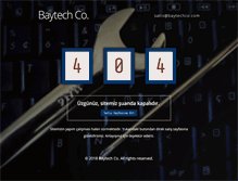 Tablet Screenshot of baytechco.com
